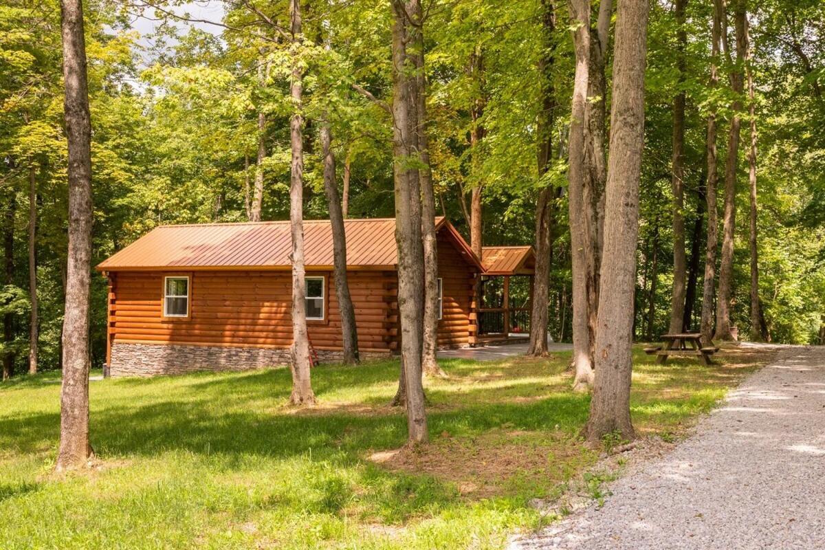 Secluded Wooded Cabin Near The Hocking Hills New Straitsville Exteriér fotografie